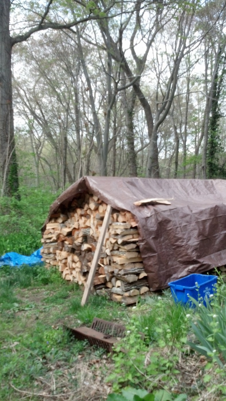 2012-04-21_15-37-16_65